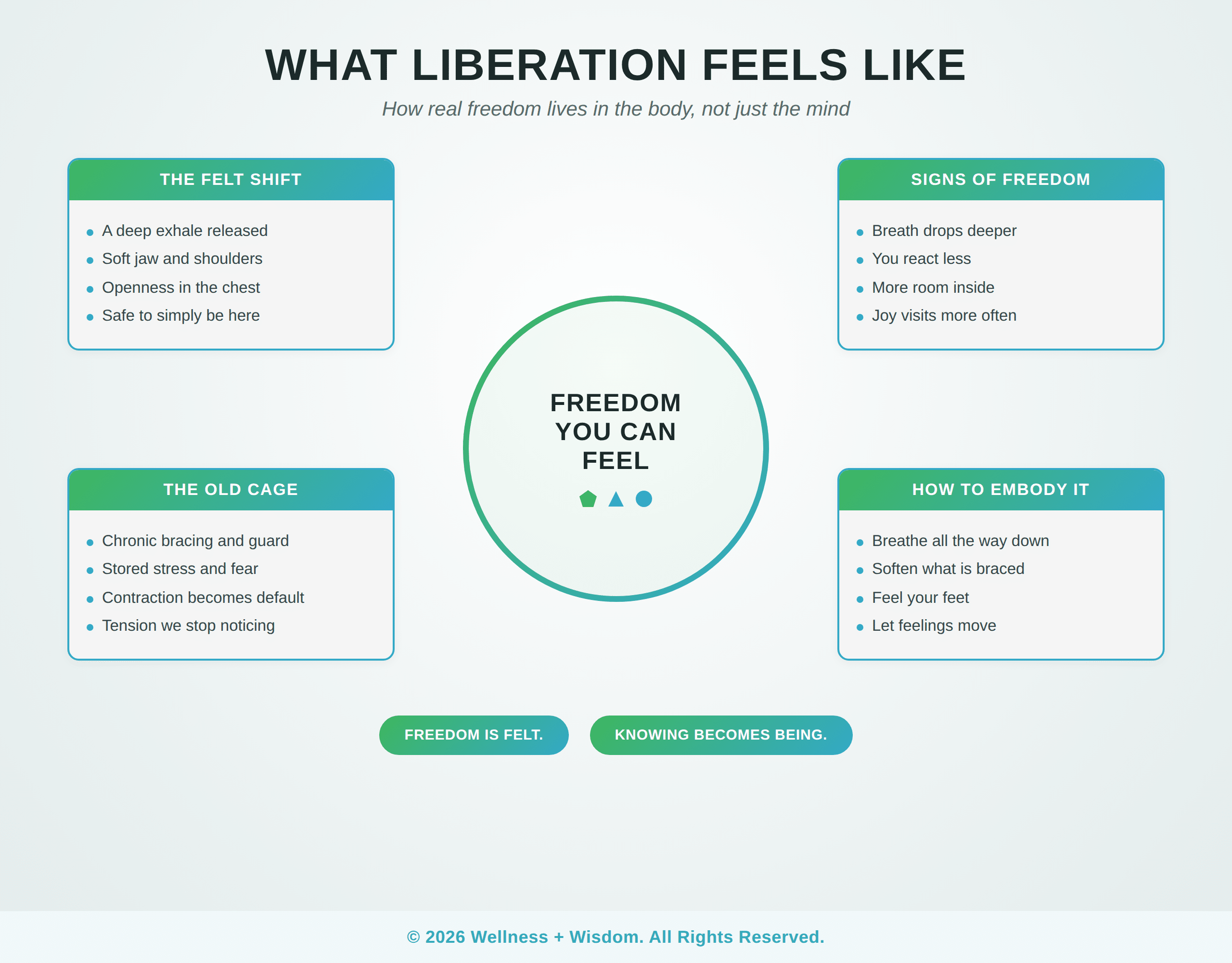 Liberation Embodiment by Josh Trent | Wellness + Wisdom Liberation embodiment infographic showing what freedom feels like in the body and how to embody it by Josh Trent Wellness and Wisdom