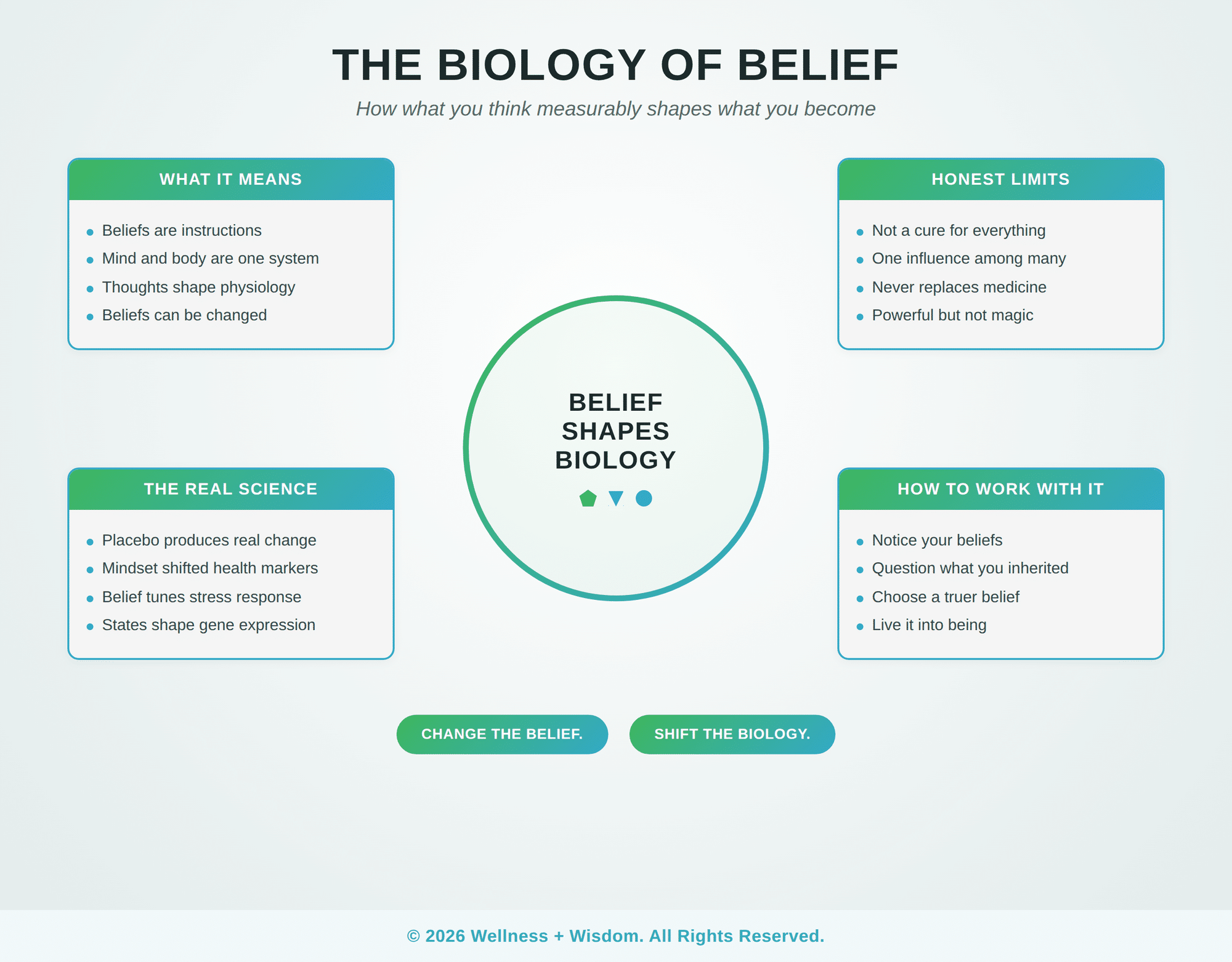 The Biology of Belief by Josh Trent | Wellness + Wisdom Biology of belief infographic showing how thoughts and beliefs shape the body through placebo, stress, and gene expression by Josh Trent Wellness and Wisdom