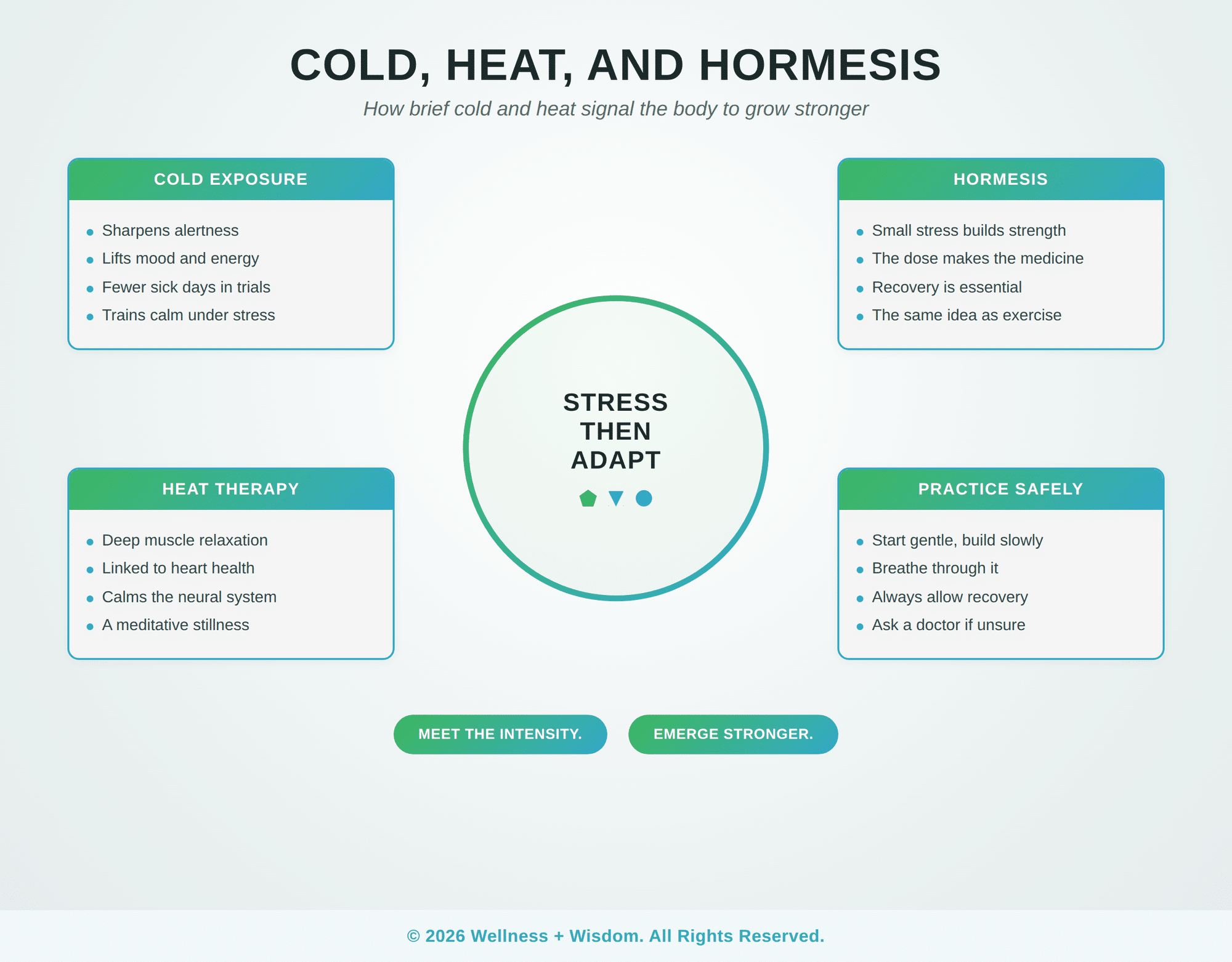 Cold Exposure Epigenetics by Josh Trent | Wellness + Wisdom Cold exposure epigenetics infographic showing how cold and heat signal the body through hormesis by Josh Trent Wellness and Wisdom