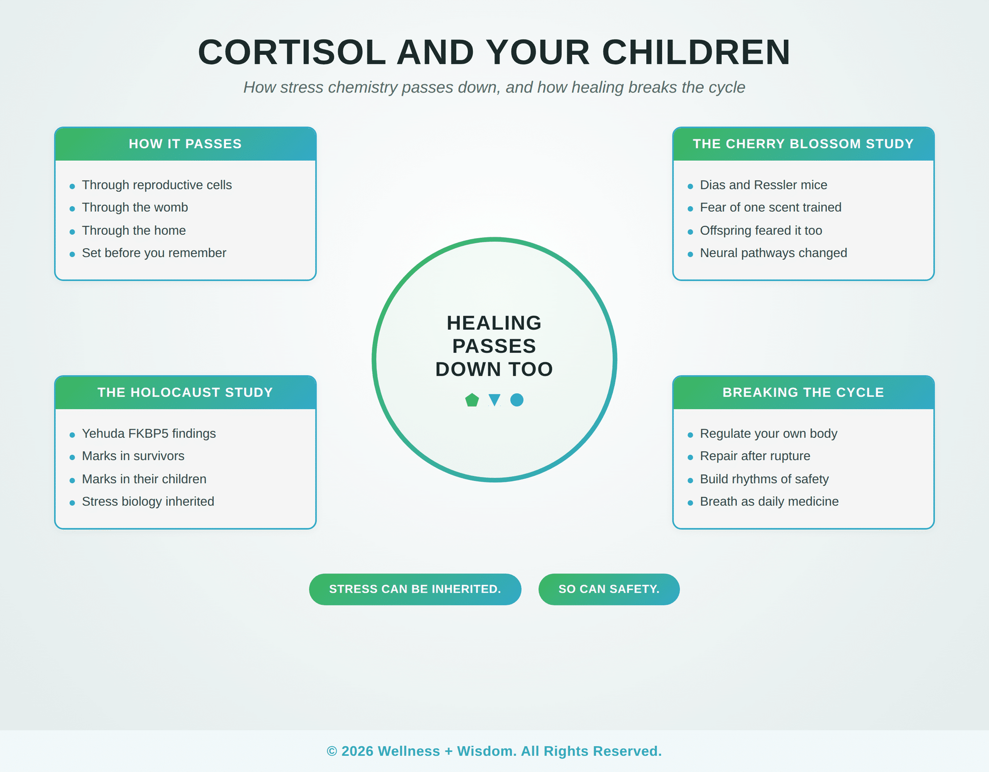 Cortisol Intergenerational Trauma by Josh Trent | Wellness + Wisdom Cortisol intergenerational trauma infographic showing how stress passes to offspring and how healing breaks the cycle by Josh Trent Wellness and Wisdom