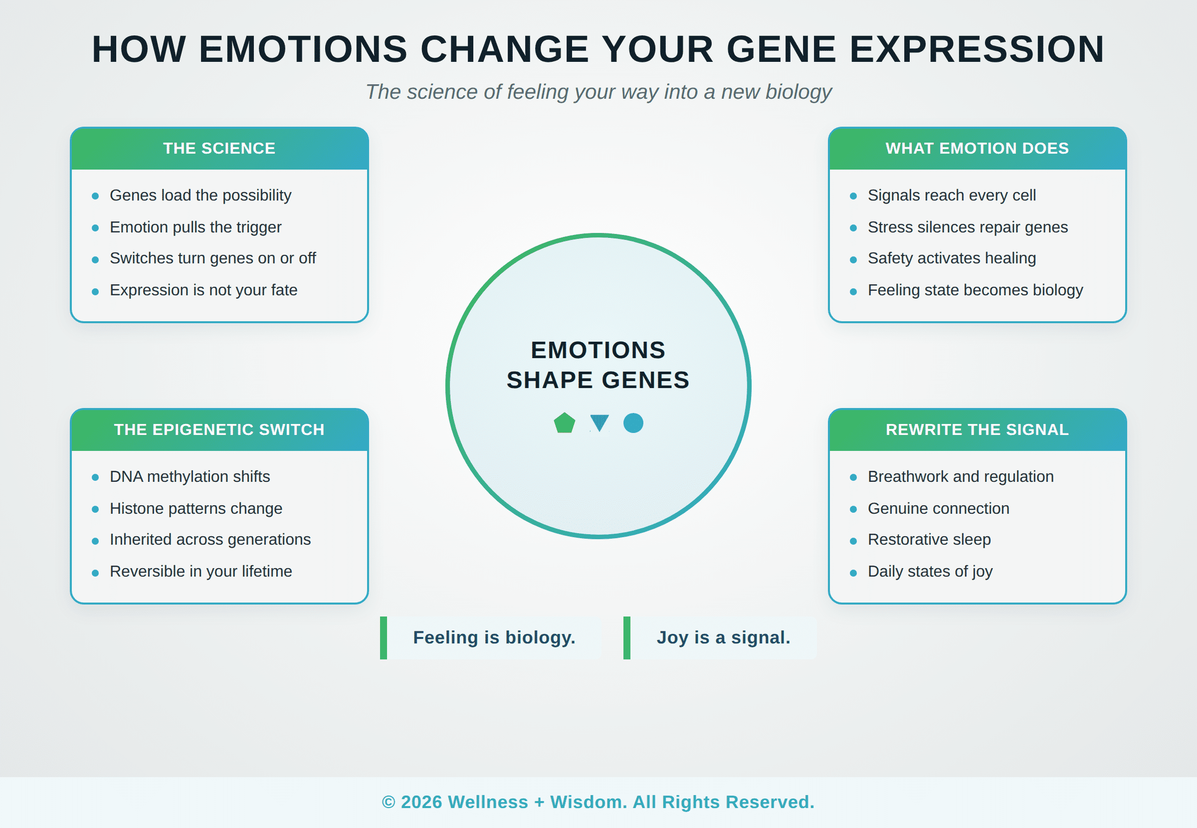 Emotions Gene Expression: How Your Feelings Shape Your Biology | Josh Trent | Wellness + Wisdom How emotions change gene expression infographic illustrating emotional epigenetics science and the biology of feelings by Josh Trent Wellness and Wisdom