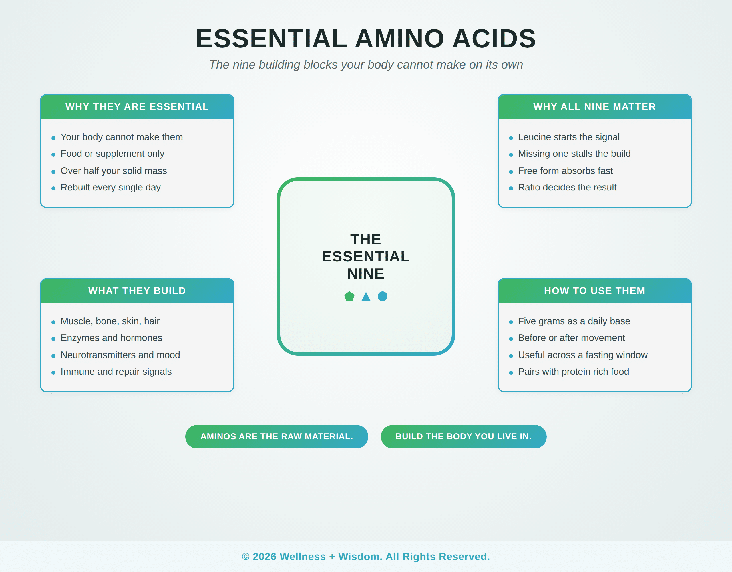 Essential Amino Acids by Josh Trent | Wellness + Wisdom Essential amino acids infographic explaining why the nine aminos in Kion Aminos are essential, what they build, why all nine matter, and how to use them, by Josh Trent Wellness and Wisdom