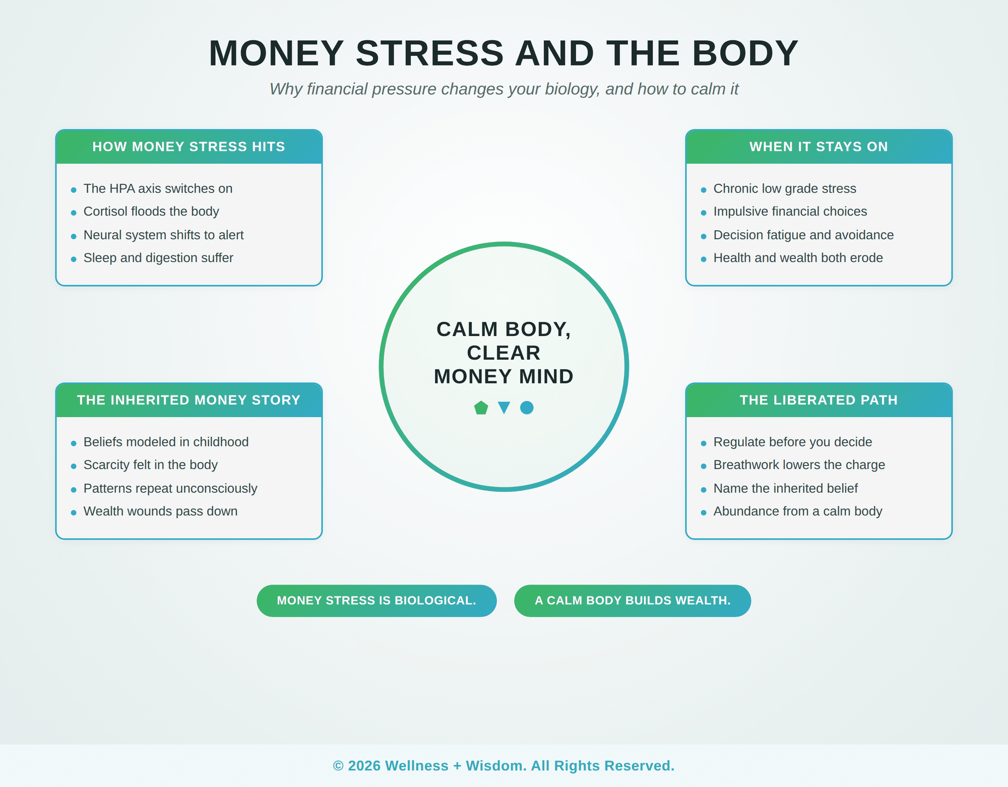 Financial Wellness and Money Stress by Josh Trent | Wellness + Wisdom Financial wellness stress and the neural system infographic showing how money stress changes your biology by Josh Trent Wellness and Wisdom