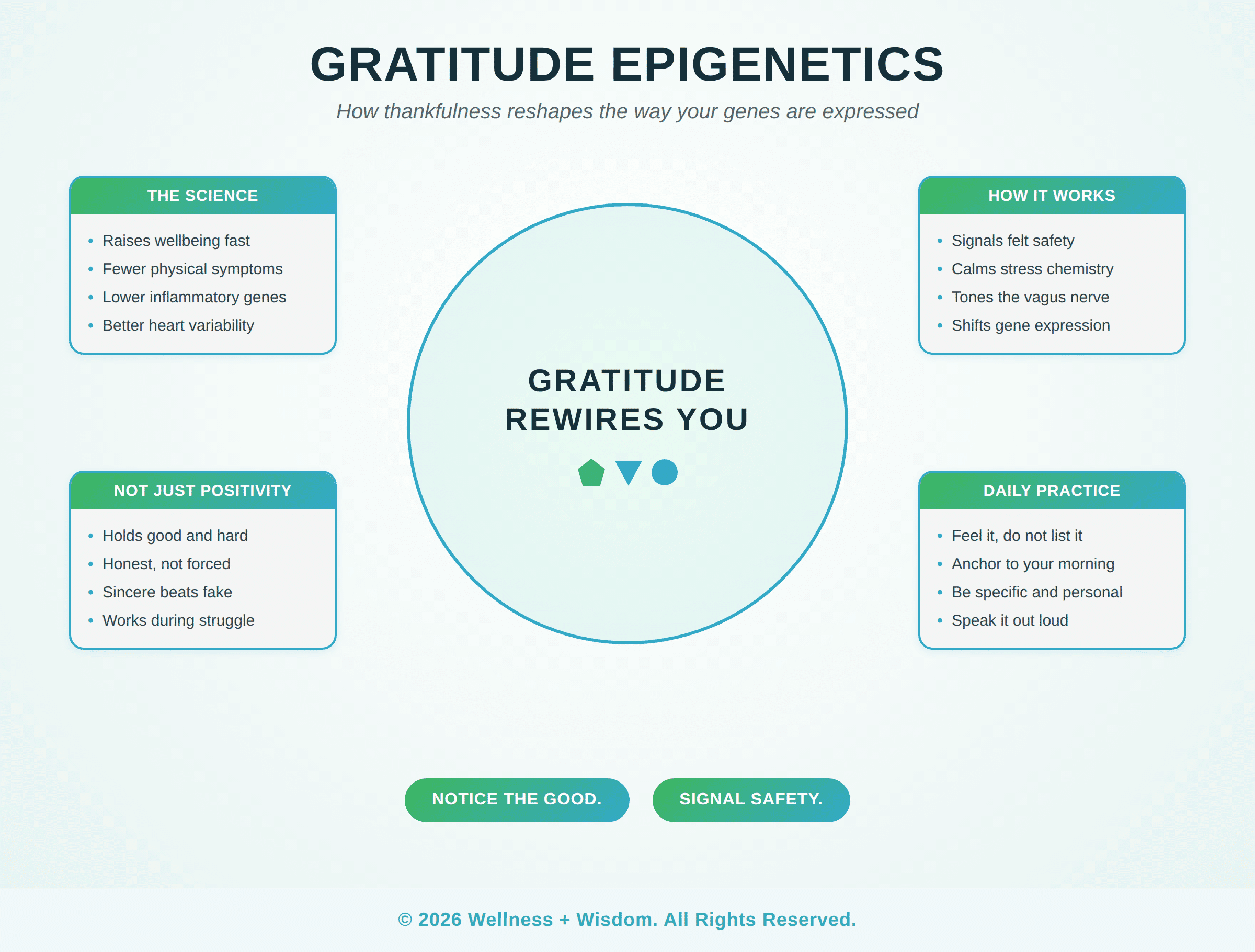 Gratitude Epigenetics by Josh Trent | Wellness + Wisdom Gratitude epigenetics infographic showing how thankfulness shapes gene expression across the science, the body, the signal, and daily practice, by Josh Trent Wellness and Wisdom