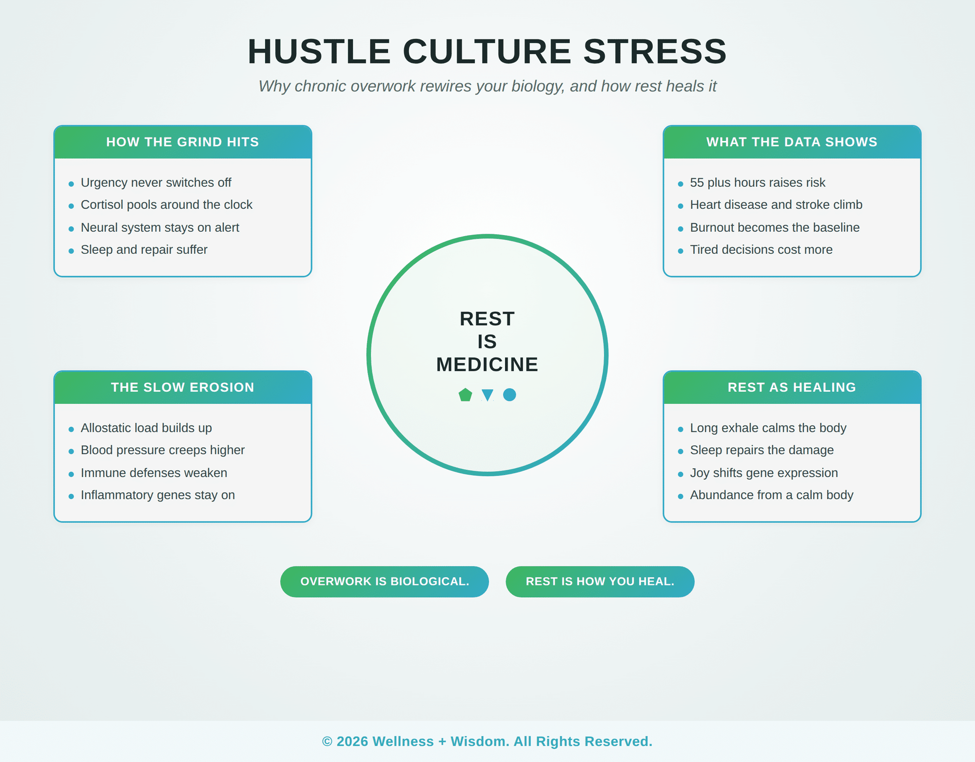 Hustle Culture Stress by Josh Trent | Wellness + Wisdom Hustle culture stress infographic showing how chronic overwork changes your biology and how rest heals it by Josh Trent Wellness and Wisdom