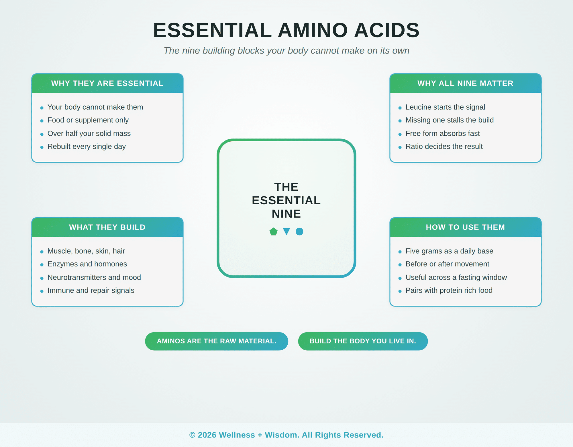 Essential Amino Acids by Josh Trent | Wellness + Wisdom Essential amino acids infographic explaining why the nine aminos in Kion Aminos are essential, what they build, why all nine matter, and how to use them, by Josh Trent Wellness and Wisdom