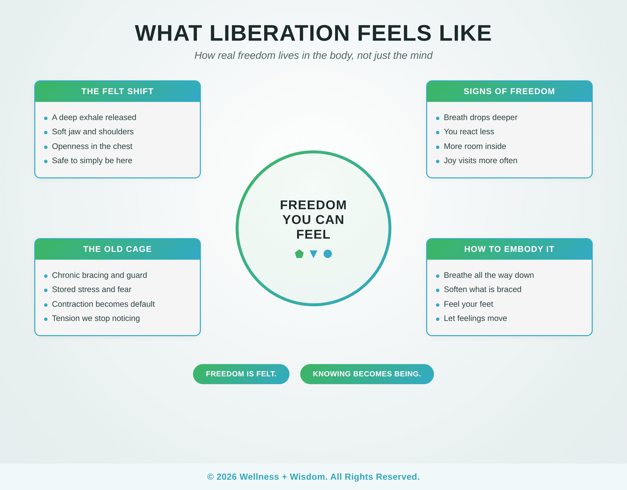 Liberation Embodiment by Josh Trent | Wellness + Wisdom Liberation embodiment infographic showing what freedom feels like in the body and how to embody it by Josh Trent Wellness and Wisdom