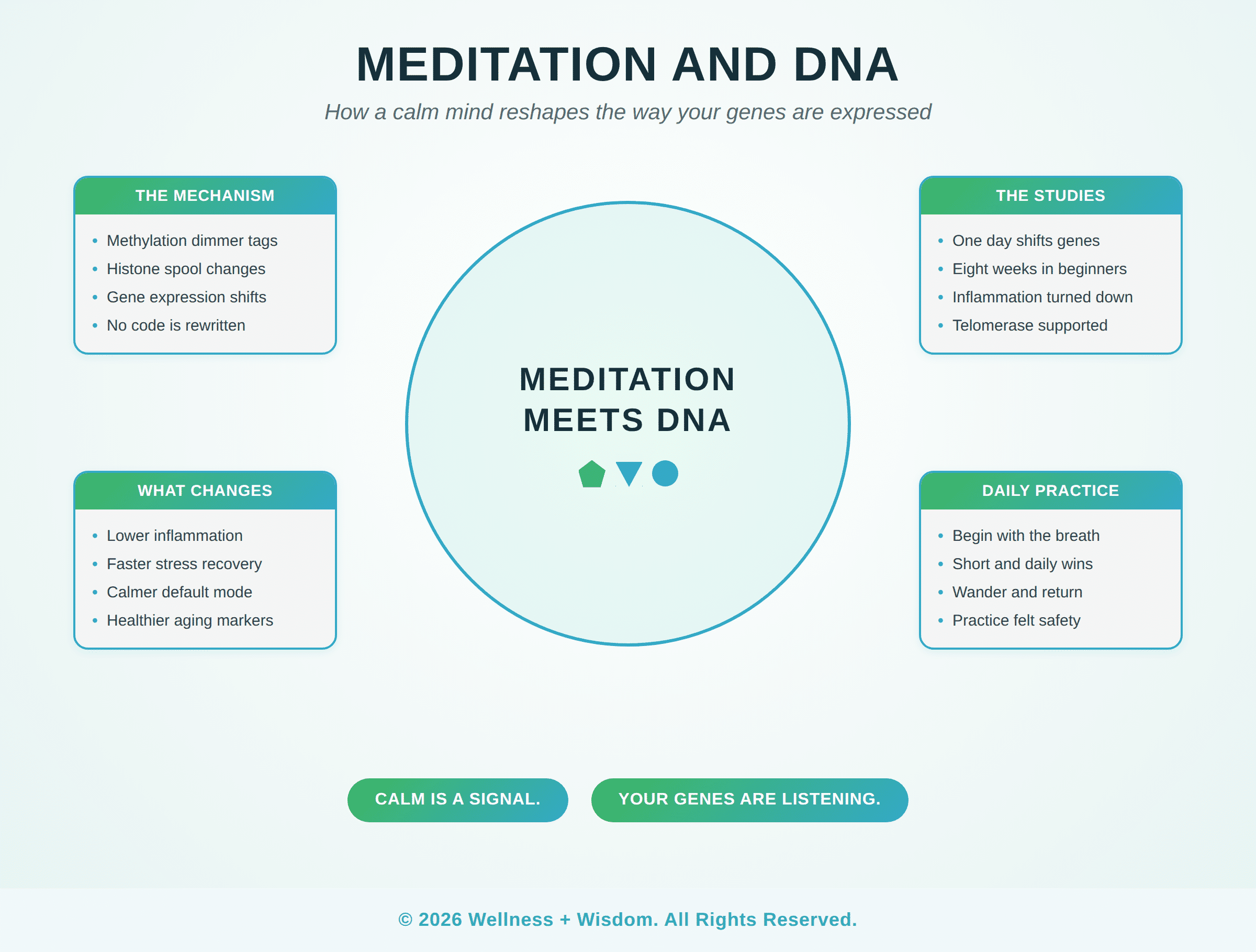 Meditation and DNA by Josh Trent | Wellness + Wisdom Meditation and DNA infographic showing how a calm mind influences gene expression across methylation, inflammation, aging, and practice, by Josh Trent Wellness and Wisdom
