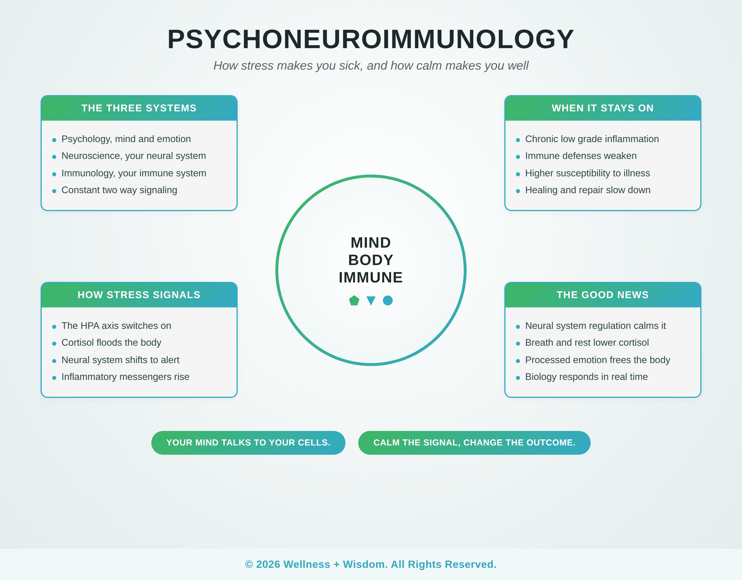 Psychoneuroimmunology: The Mind Body Immune Connection by Josh Trent | Wellness + Wisdom Psychoneuroimmunology diagram showing how stress affects the immune system through the mind body connection by Josh Trent Wellness and Wisdom